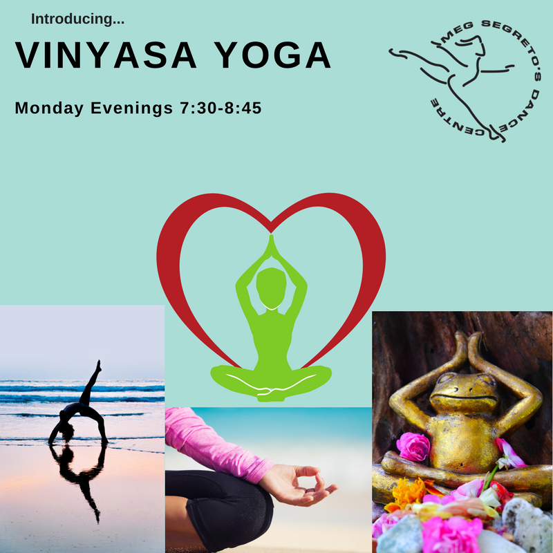 Vinyasa Yoga (1)